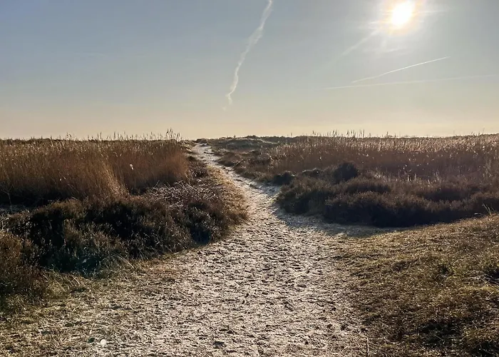 Beautiful In With Sauna Apartamento *